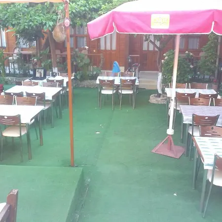 Star Park سيدي